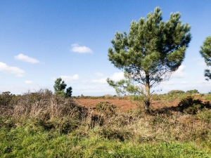 Landschaft bei Menesguen